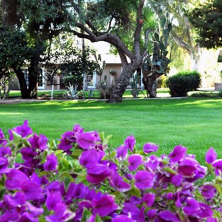 Smoketree Resort And Bungalows Scottsdale Eksteriør billede